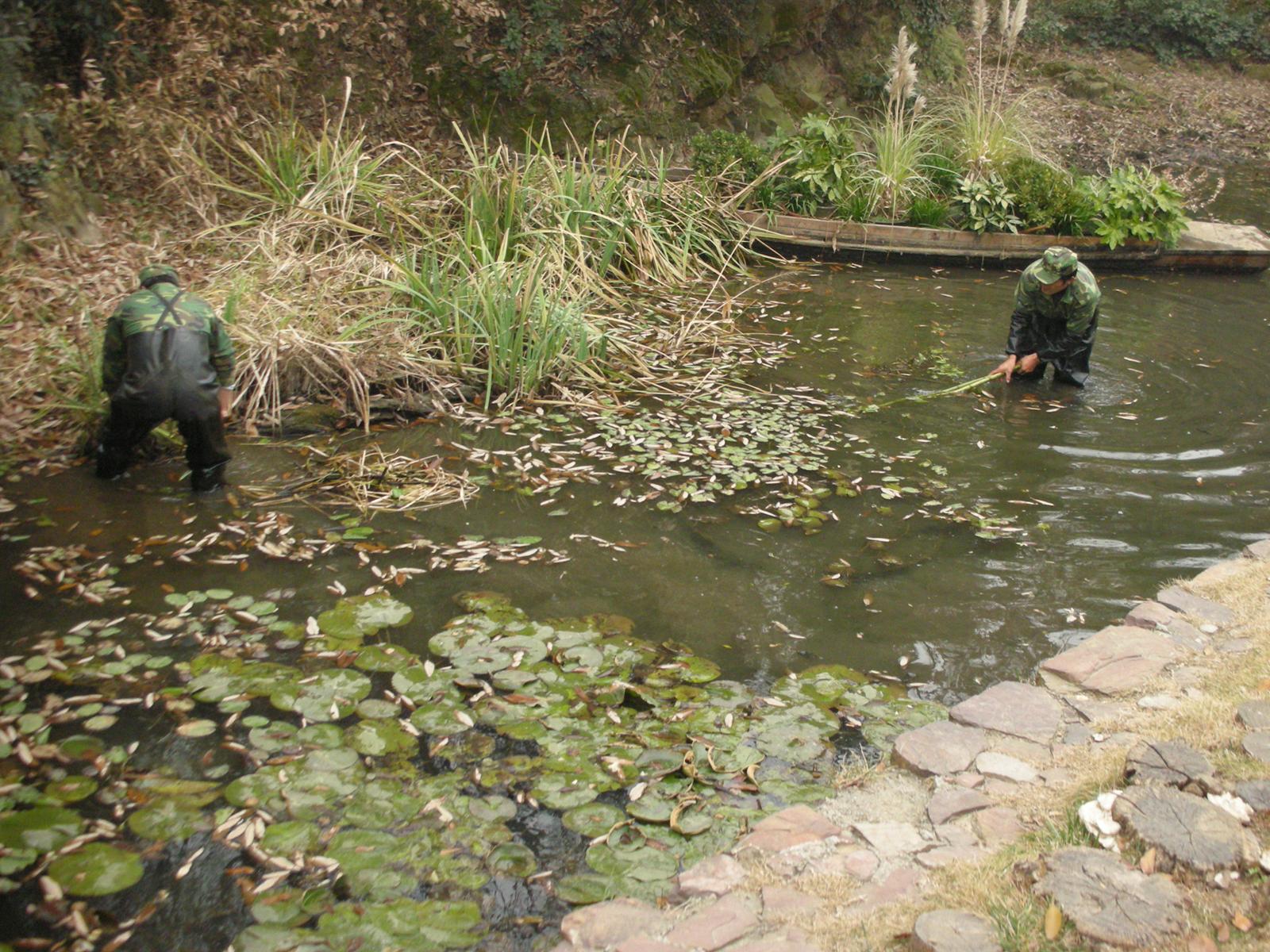 2000年ほど前は錫(スズ)の産地だったが、今は錫がない無錫(その2..無錫を代表する観光地である太湖)