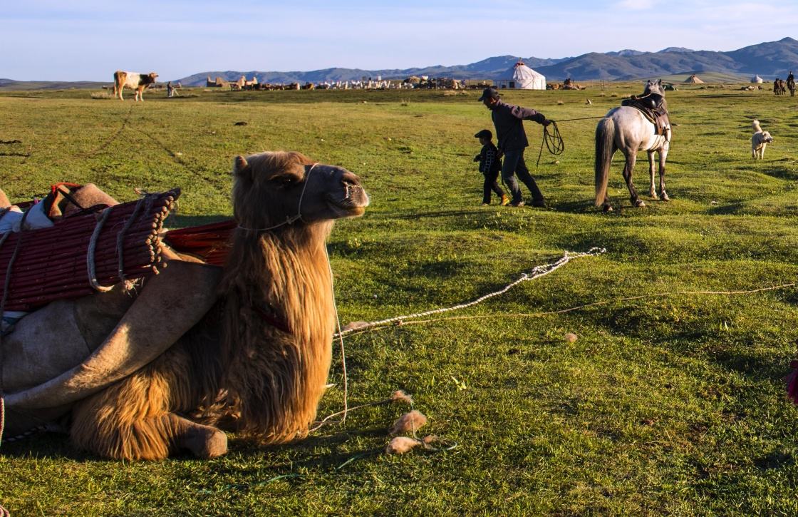 カザフスタンを含む中央アジアから中国新疆ウイグル自治区等の多くの国に跨って住んでいるカザフ族(金さん特別編)