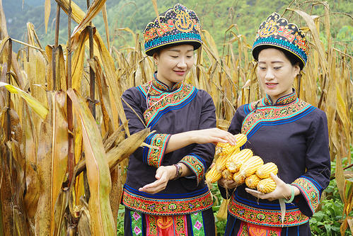 貴州省を中心に生活しているコーラオ族(李さん特別編)