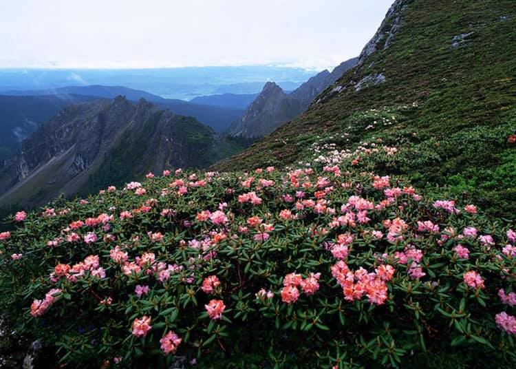 渓谷や標高6,000メートル級の氷山があり、チベット族の宗教の神秘的な雰囲気が漂う香格里拉(シャングリラ)(何さん特別編)