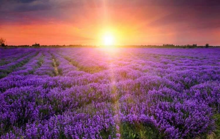 渓谷や標高6,000メートル級の氷山があり、チベット族の宗教の神秘的な雰囲気が漂う香格里拉(シャングリラ)(何さん特別編)