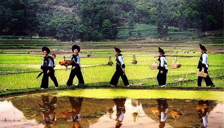 貴州省南部、南西部で生活するプイ族(李さん特別編)