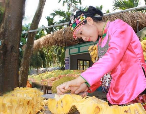 海南島の熱帯気候の中で生活している黎族(羅さん特別編)