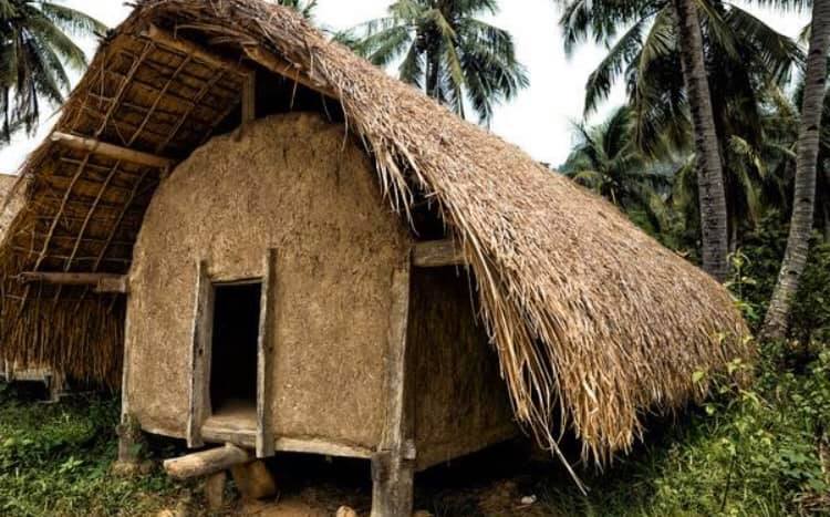 海南島の熱帯気候の中で生活している黎族(羅さん特別編)