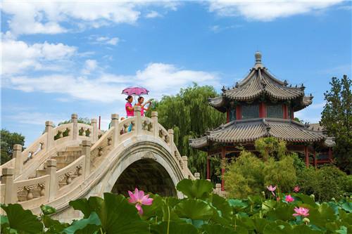 蓮が一面に生い茂る池の風景がとても美しい、河北省保定市にある古蓮花池景区(金さん特別編)