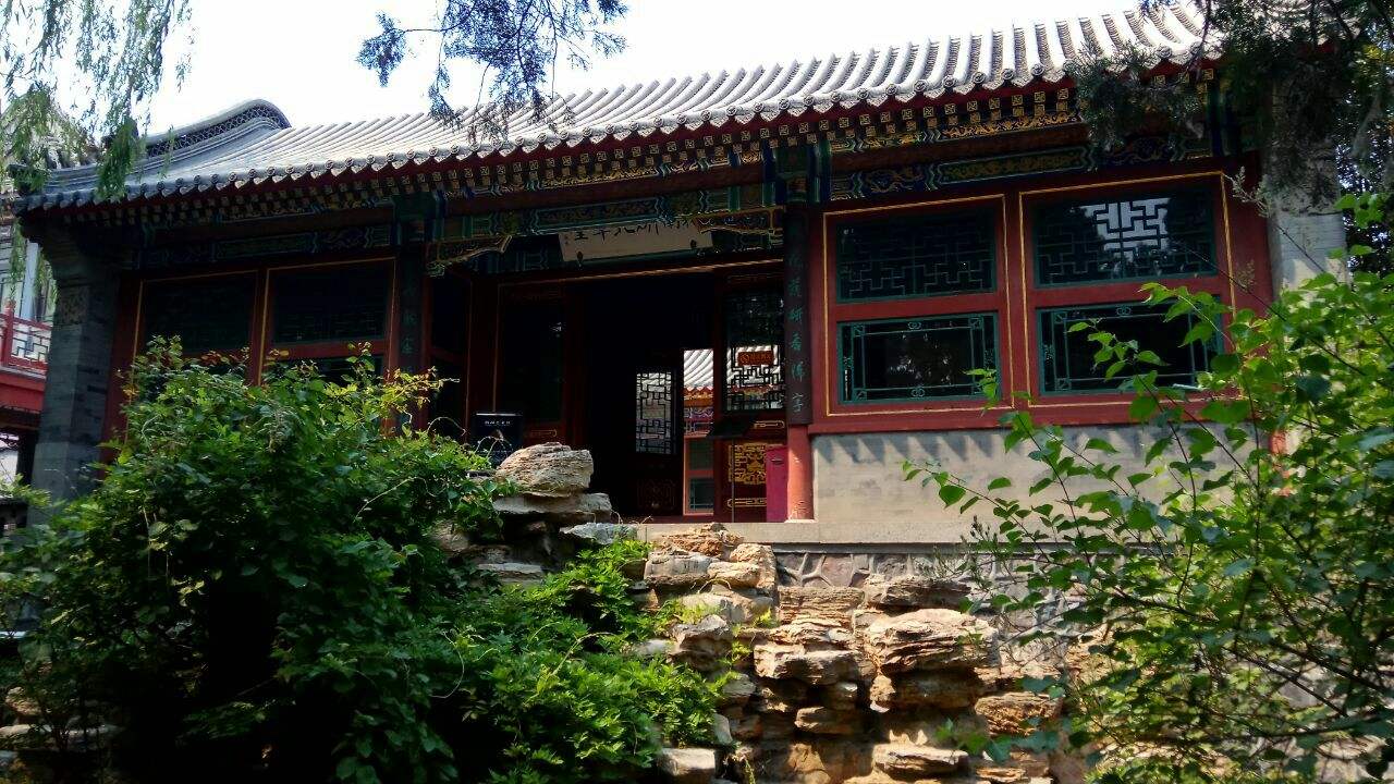 蓮が一面に生い茂る池の風景がとても美しい、河北省保定市にある古蓮花池景区(金さん特別編)