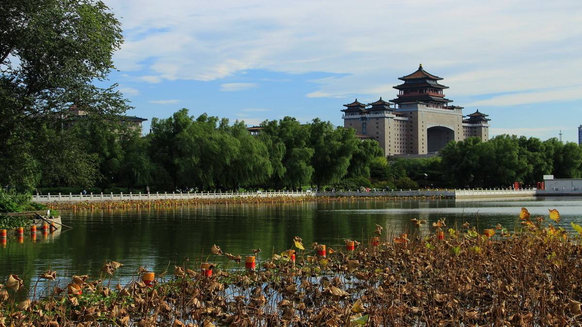 蓮が一面に生い茂る池の風景がとても美しい、河北省保定市にある古蓮花池景区(金さん特別編)