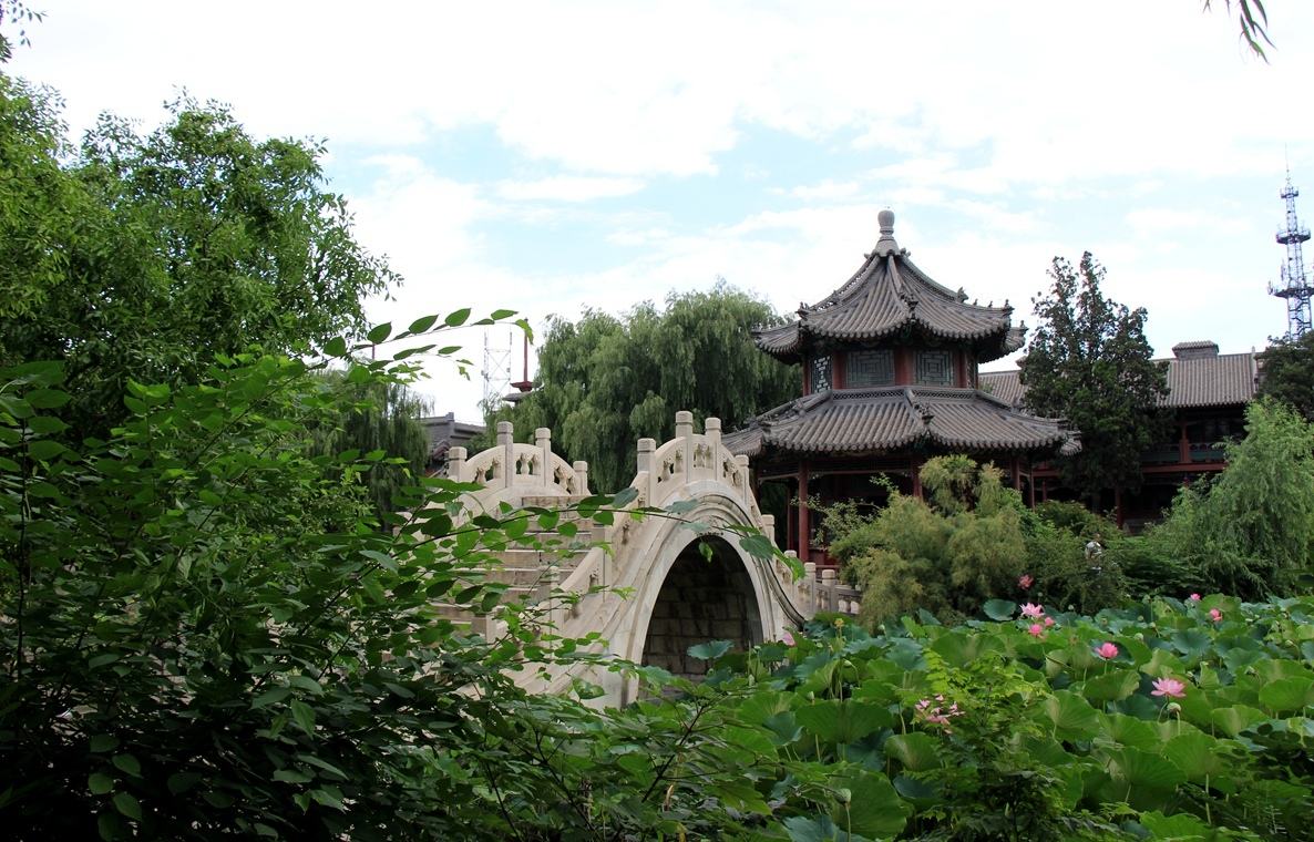 蓮が一面に生い茂る池の風景がとても美しい、河北省保定市にある古蓮花池景区(金さん特別編)