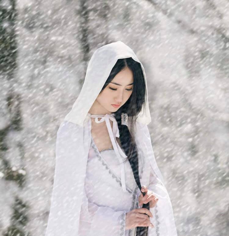 楊先生の漢詩朗読(その41. 雪の中で花を著け、寒さ(=境遇の悪さ)に耐えて、清らかな香りを放つ梅花を詠んだ、王安石の漢詩「梅花」)