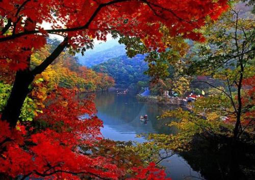 「紅葉の故郷」と呼ばれるほど紅葉が有名な本渓満族自治県(金さん特別編)