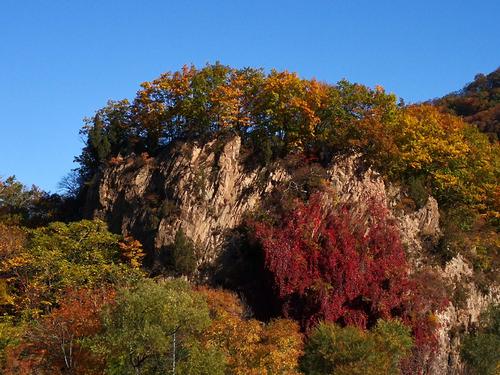 「紅葉の故郷」と呼ばれるほど紅葉が有名な本渓満族自治県(金さん特別編)