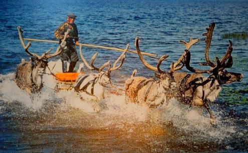 韓国人のルーツともいわれるエヴェンキ>族(金さん特別編)