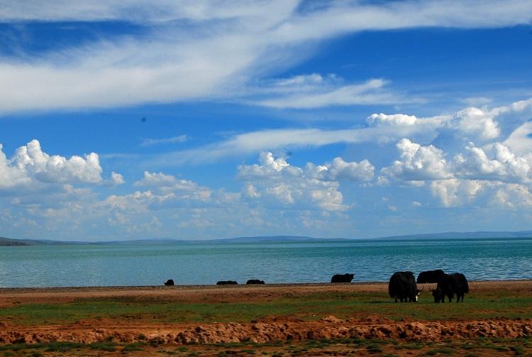 悠久の大河、黄河の源流(何さん特別編)