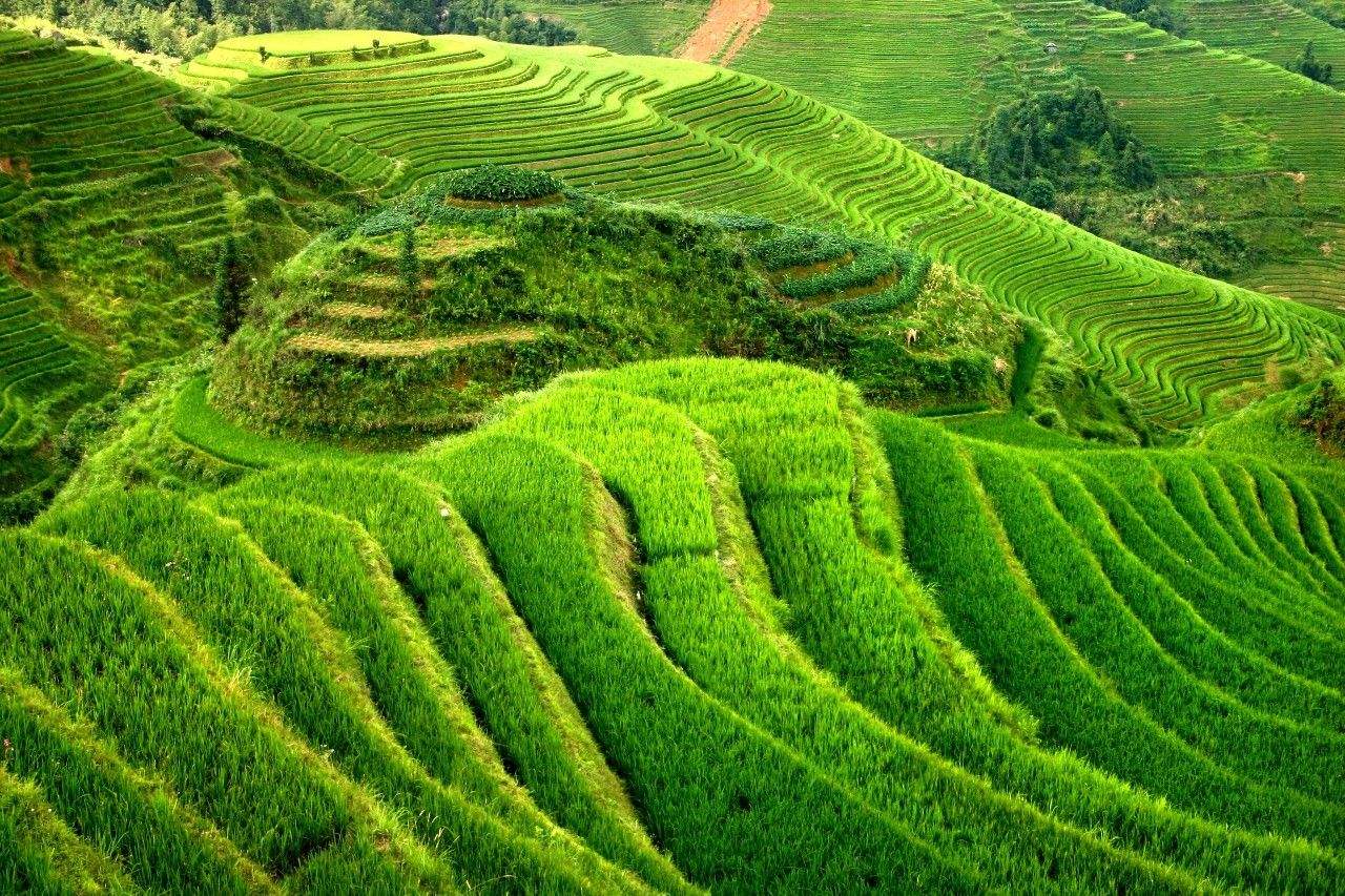 雄大なスケールと綺麗な曲線の美が人々を魅了する龍勝龍脊棚田(李さん特別編)
