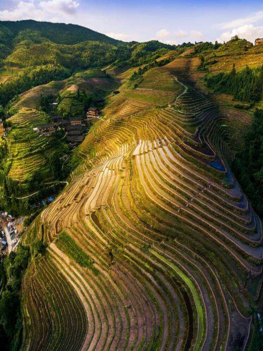 雄大なスケールと綺麗な曲線の美が人々を魅了する龍勝龍脊棚田(李さん特別編)