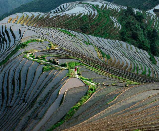 雄大なスケールと綺麗な曲線の美が人々を魅了する龍勝龍脊棚田(李さん特別編)