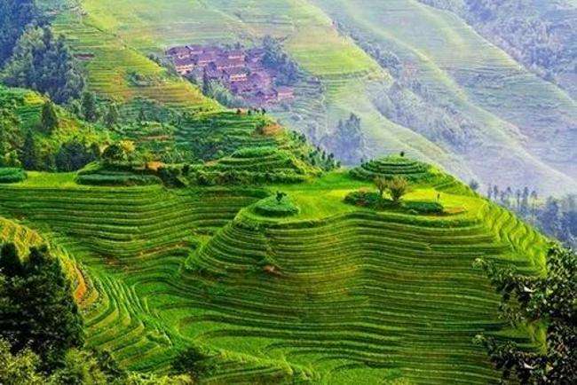 雄大なスケールと綺麗な曲線の美が人々を魅了する龍勝龍脊棚田(李さん特別編)